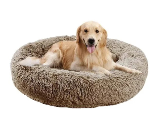 Cama para los regalones del hogar