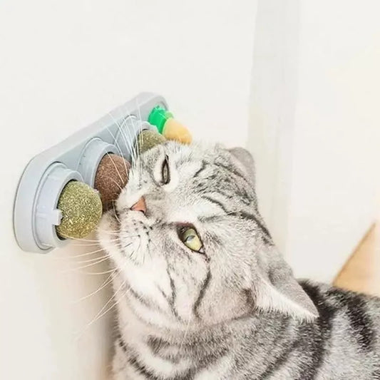 Catnip en Bolas para Gatos