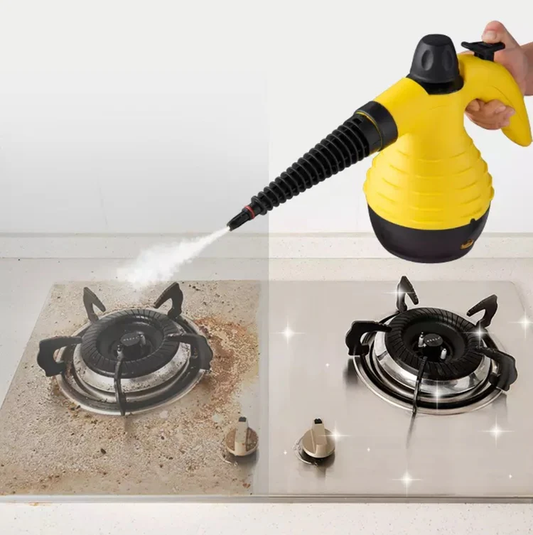 Limpiadora a Vapor Profesional